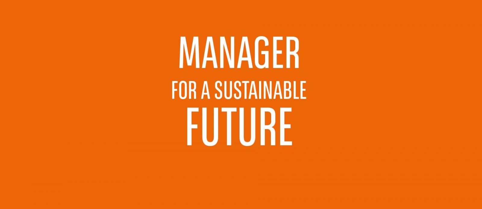 Manager for a Sustainable Future